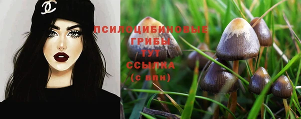 гидропоника Аркадак