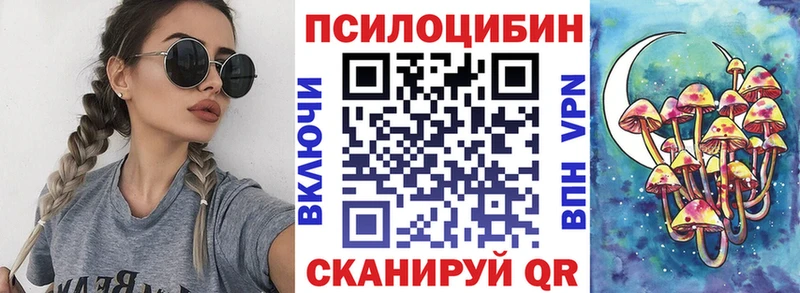 где можно купить наркотик MEGA как зайти Галлюциногенные грибы Magic Shrooms Бежецк